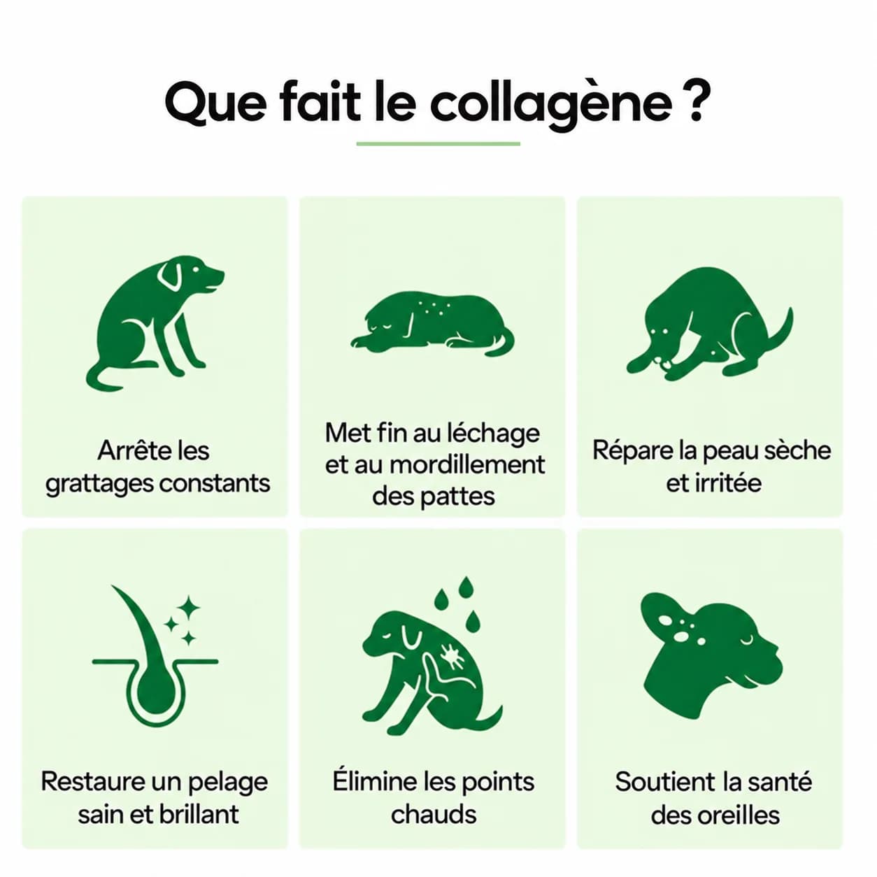 Collagène KANIVORA pour la peau et les démangeaisons - photo 4