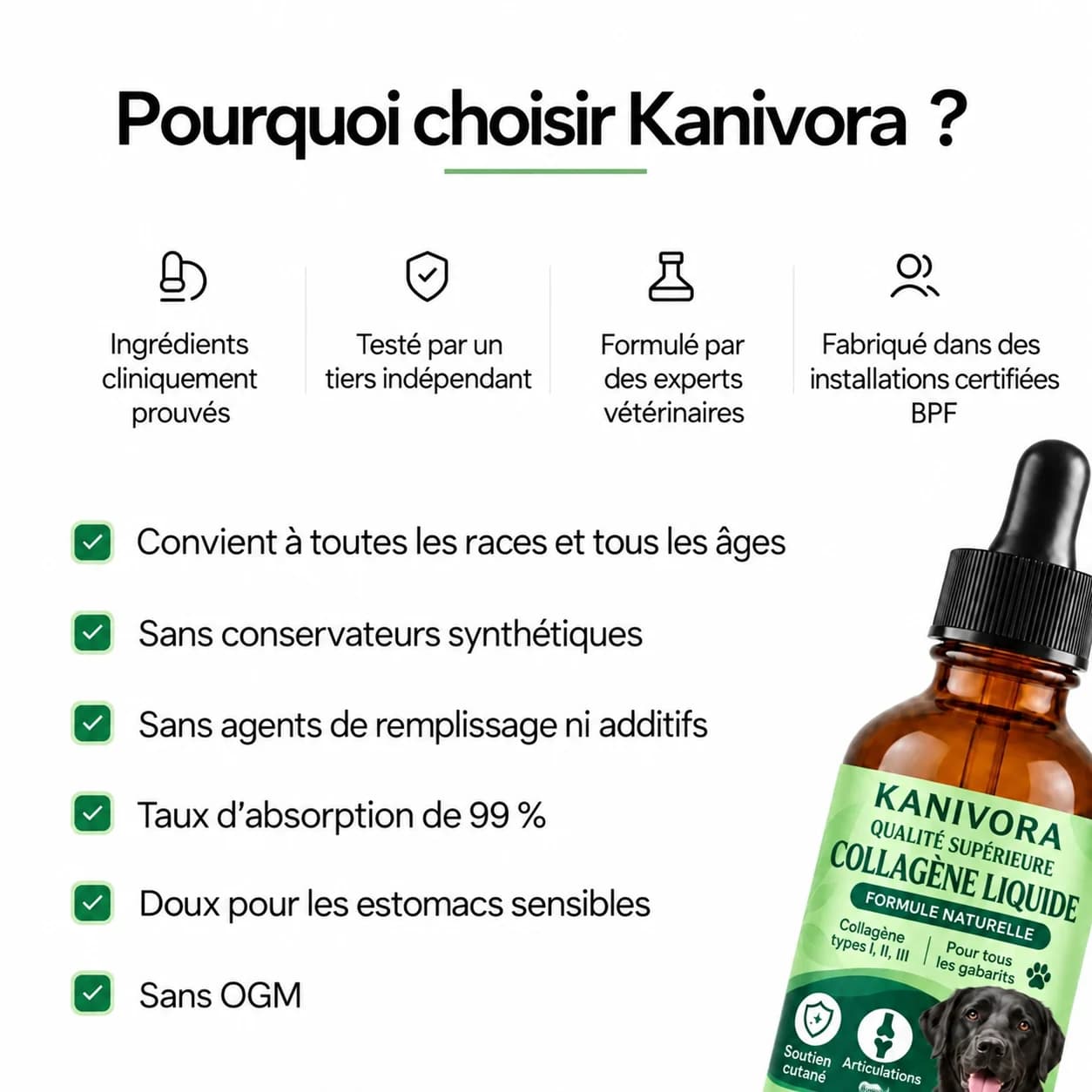 Collagène KANIVORA pour les hanches et les articulations - photo 4