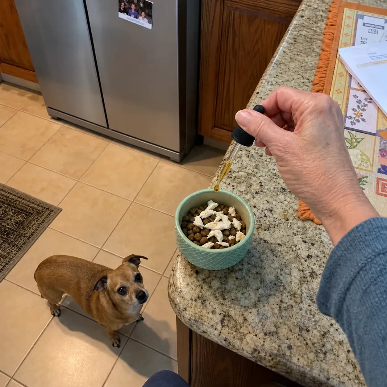 Jeannine ajoute le liquide à la nourriture de son chien avec une pipette