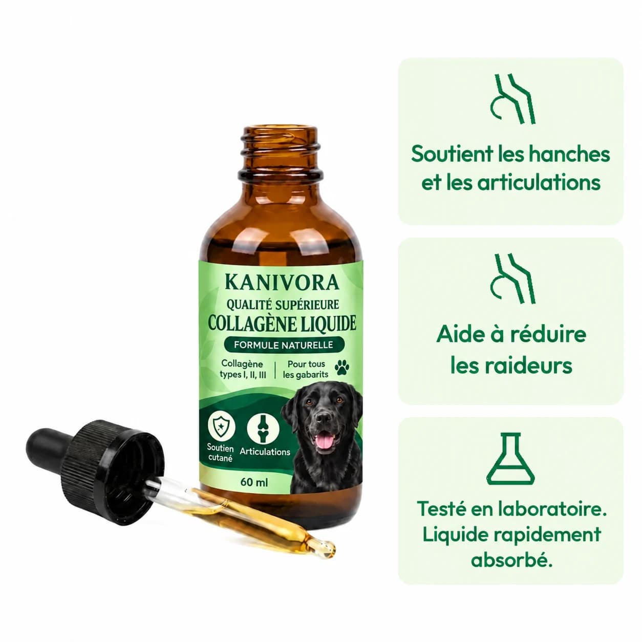 Collagène KANIVORA pour les hanches et les articulations