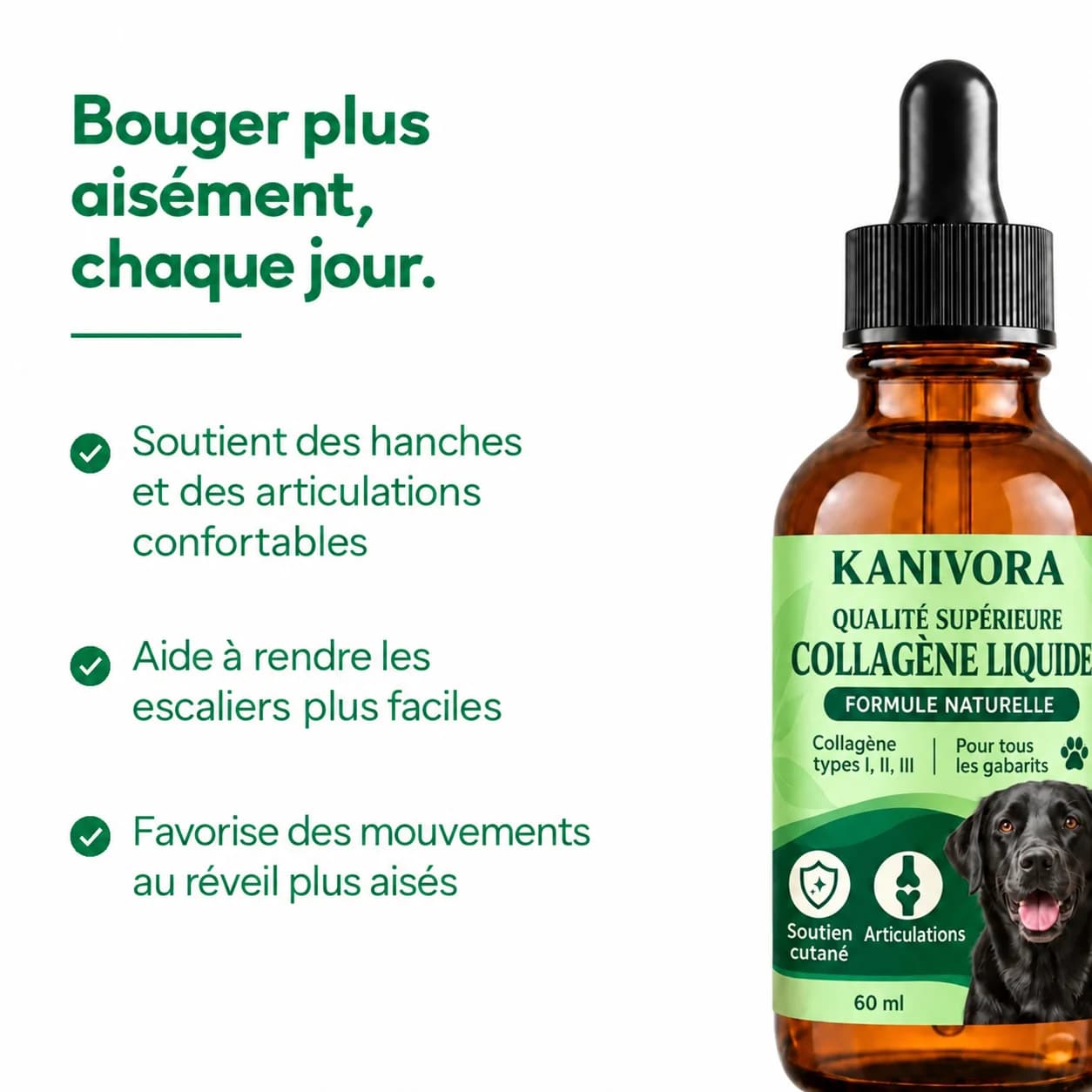 Collagène KANIVORA pour les hanches et les articulations - photo 2