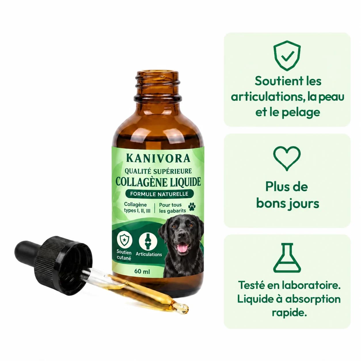 Collagène KANIVORA pour les articulations, la peau et le pelage