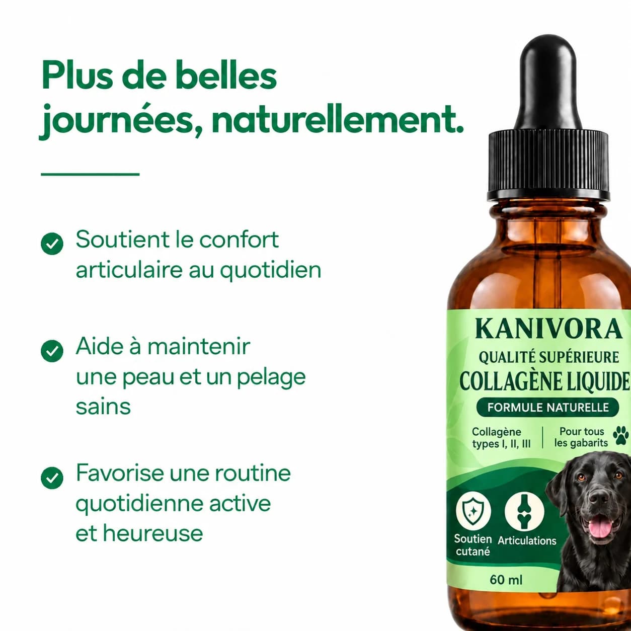 Collagène KANIVORA pour les articulations, la peau et le pelage - photo 2