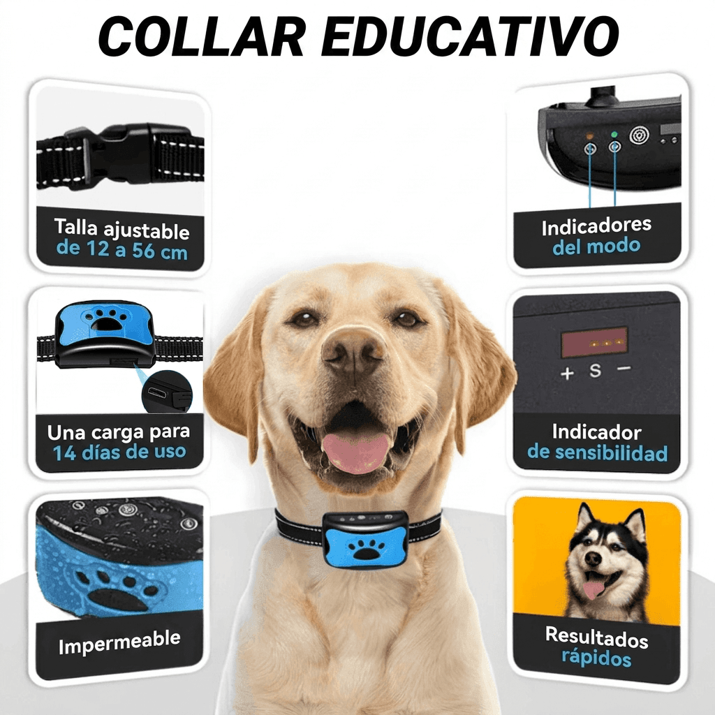 Características del collar educativo: tamaño ajustable, impermeable, 7 días de batería