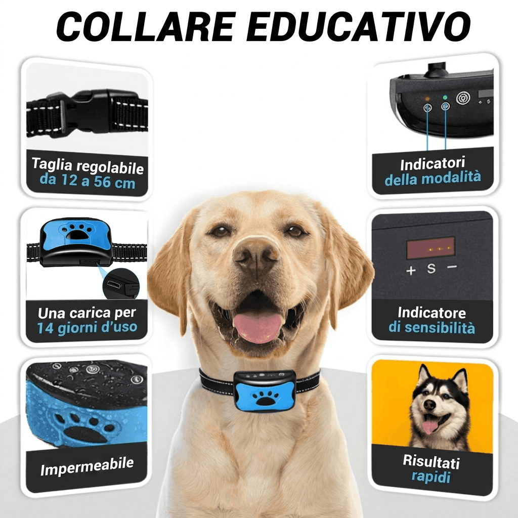 Caratteristiche del collare educativo: taglia regolabile, impermeabile, 7 giorni di autonomia