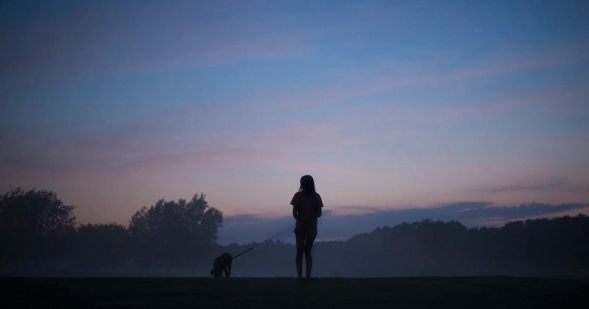 Mein Hund bellt nachts: 7 Ursachen und effektive Lösungen