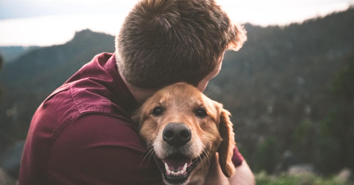 Erfahrungsbericht: Wie ich das Bellen meines Hundes in 7 Tagen gestoppt habe