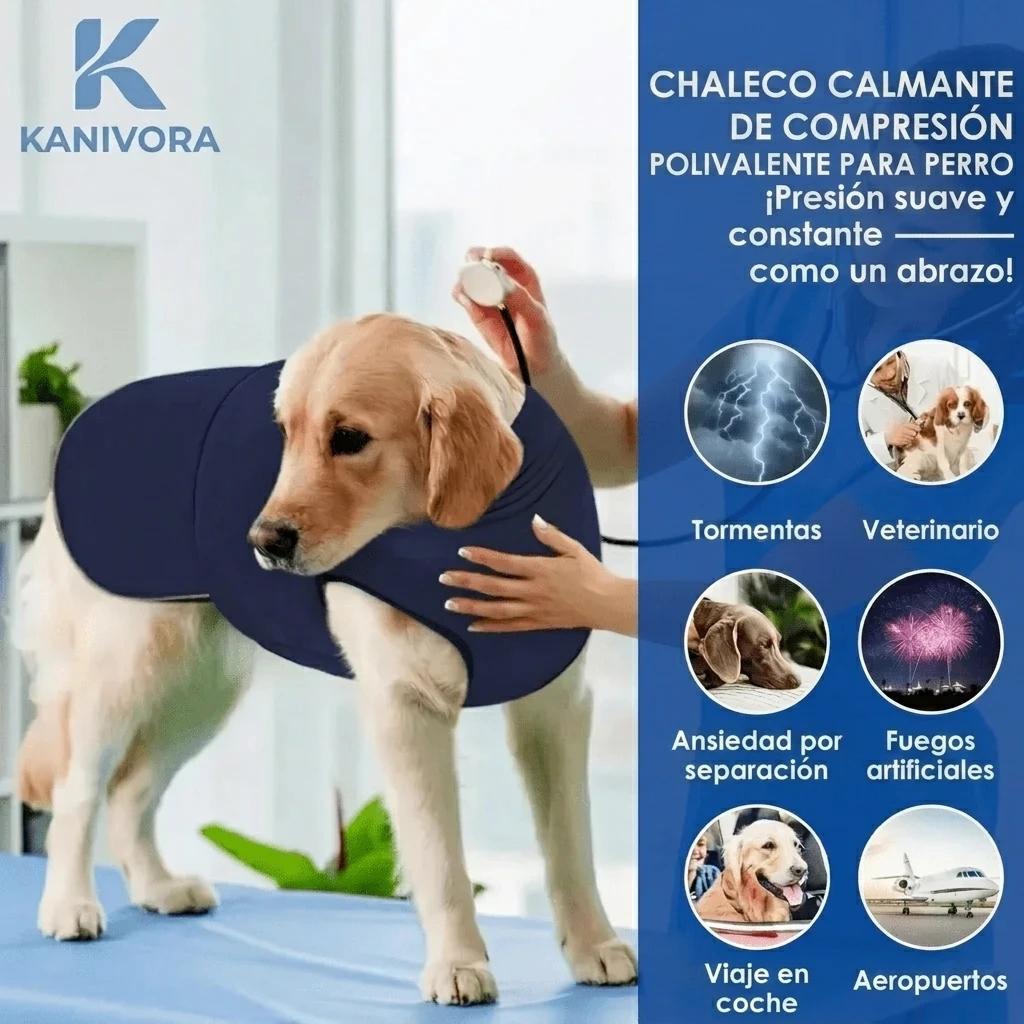 CâlinVest — Chaleco Antiansiedad para Perros - photo 2
