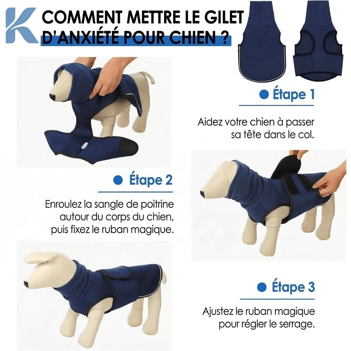 CâlinVest — Gilet Anti-Anxiété pour Chien - photo 5