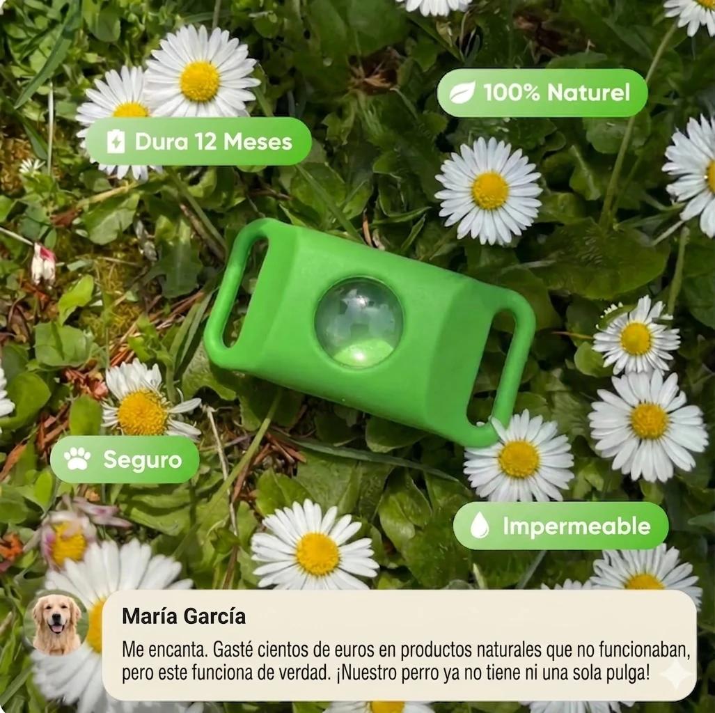 Colgante Antipulgas Natural — Protección 12 Meses para Perros - photo 2