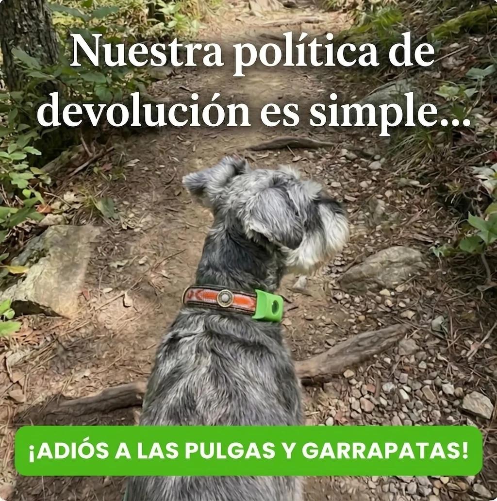 Colgante Antipulgas Natural — Protección 12 Meses para Perros - photo 9