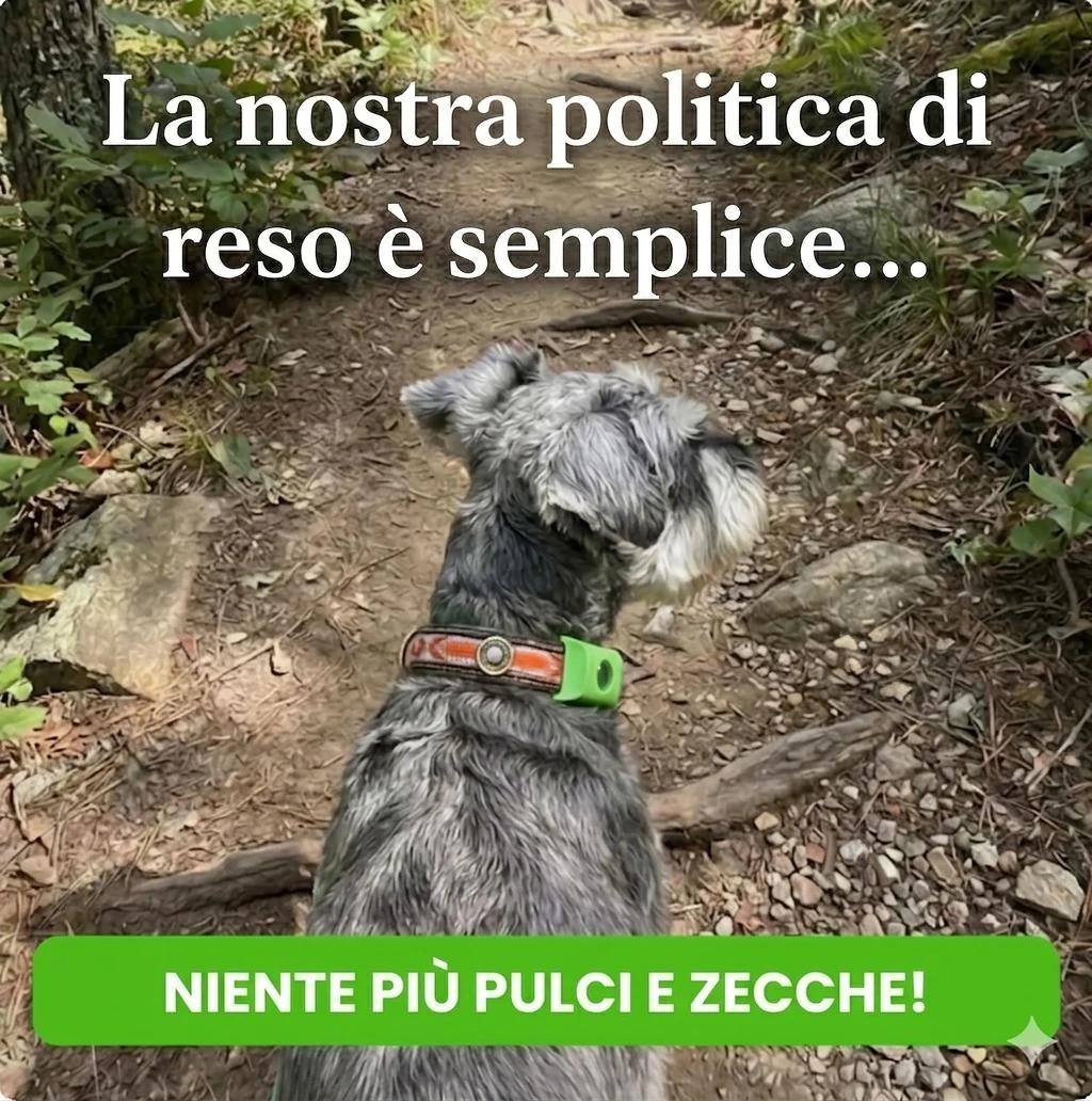 Collier Anti-Puces Chien : Guide Complet Pour Bien Choisir en 2026