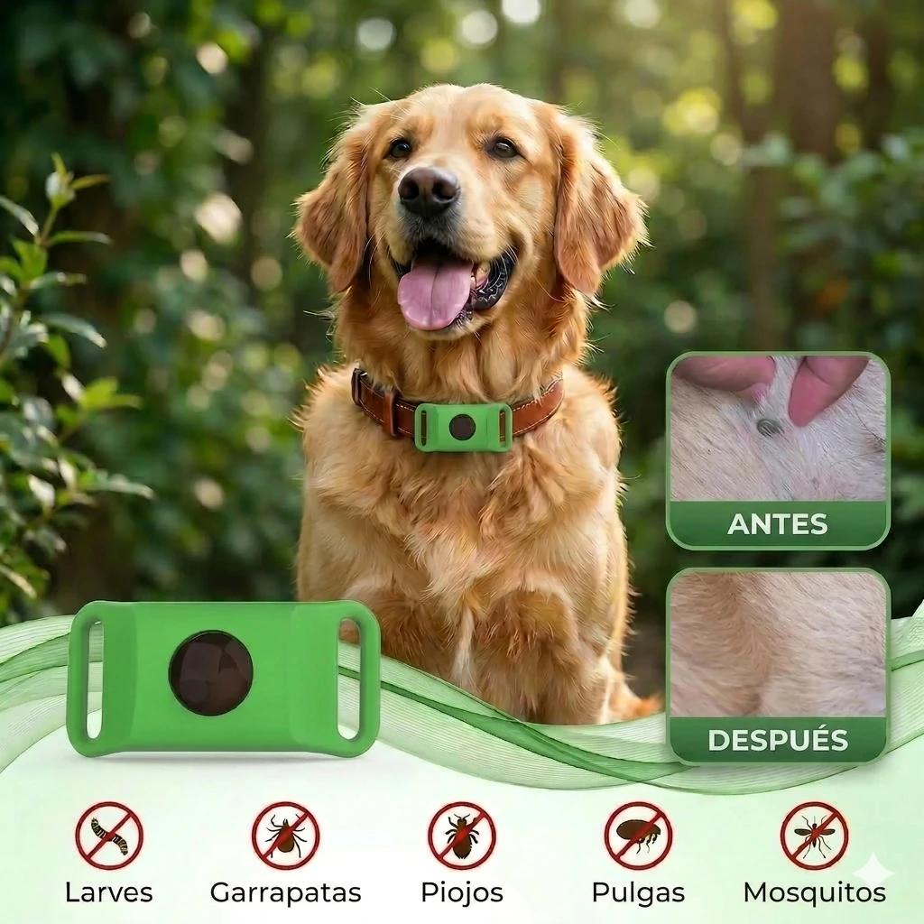 Colgante Antipulgas Natural — Protección 12 Meses para Perros - photo 5