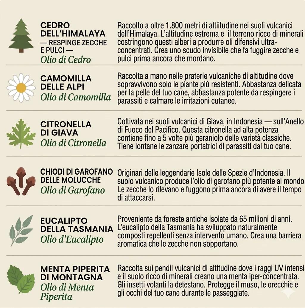 Ciondolo Antipulci Naturale — Protezione 12 Mesi per Cani - photo 7