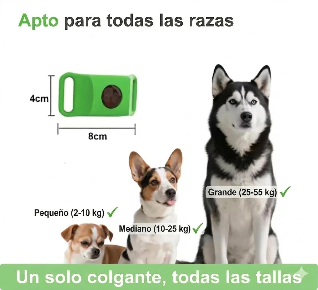 Colgante Antipulgas Natural — Protección 12 Meses para Perros - photo 8