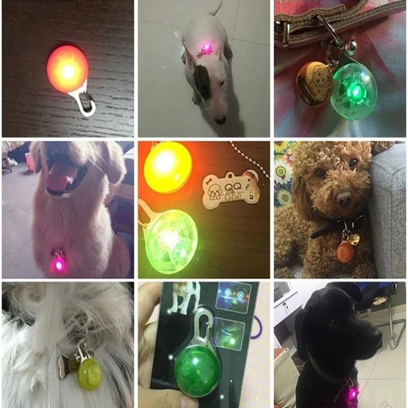 Collier LED Lumineux pour Chien