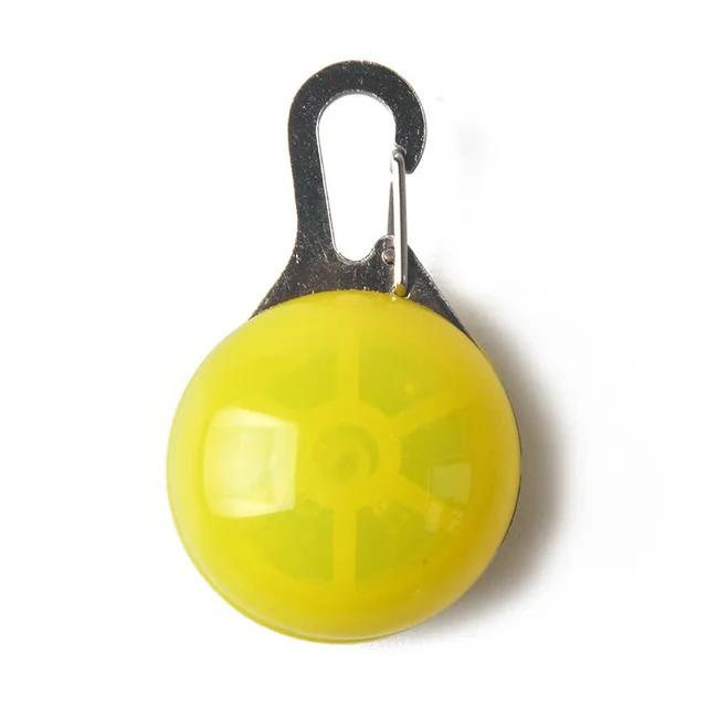 Collier LED Lumineux pour Chien