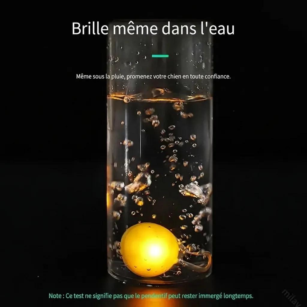 Collier LED Lumineux pour Chien - photo 2
