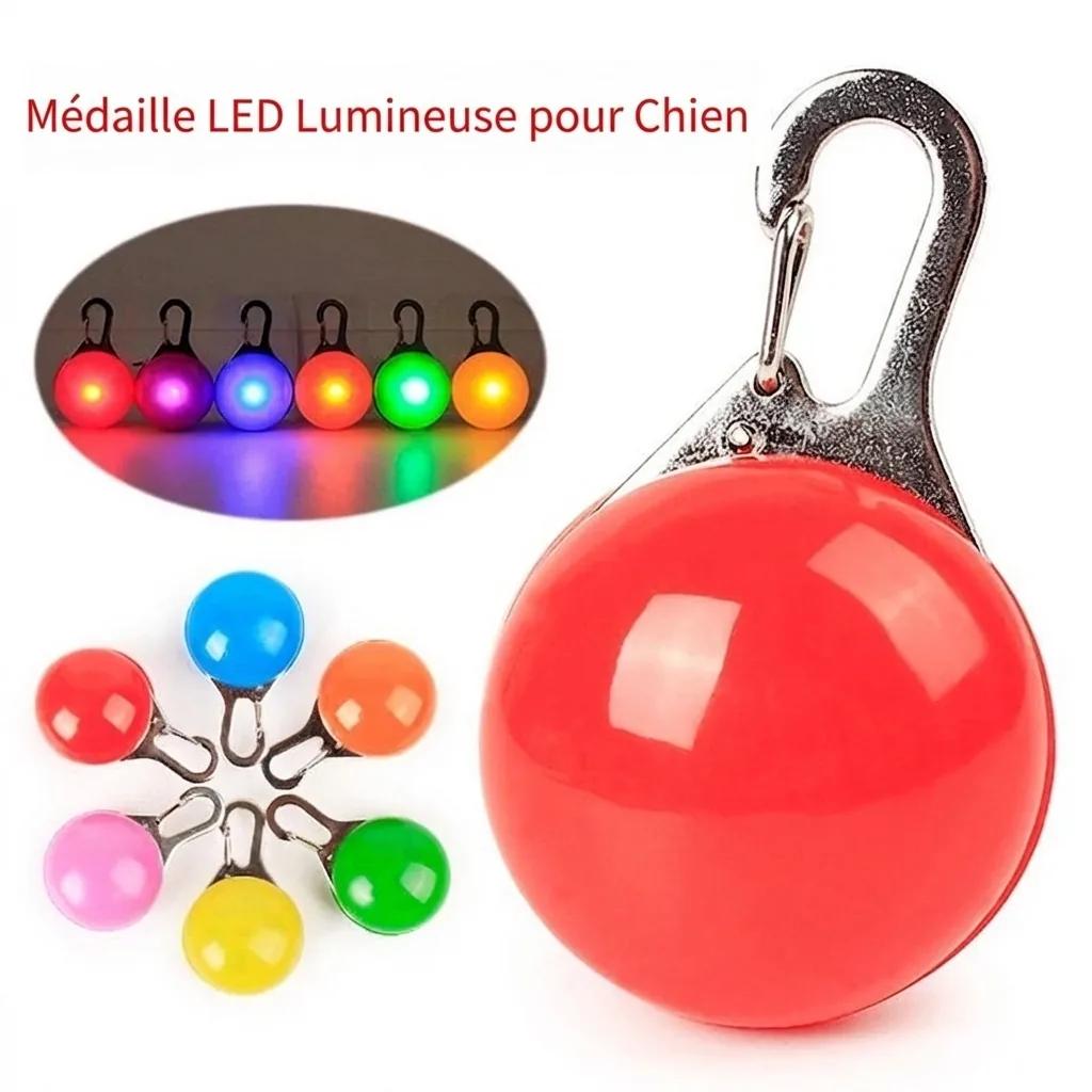 Collier LED Lumineux pour Chien