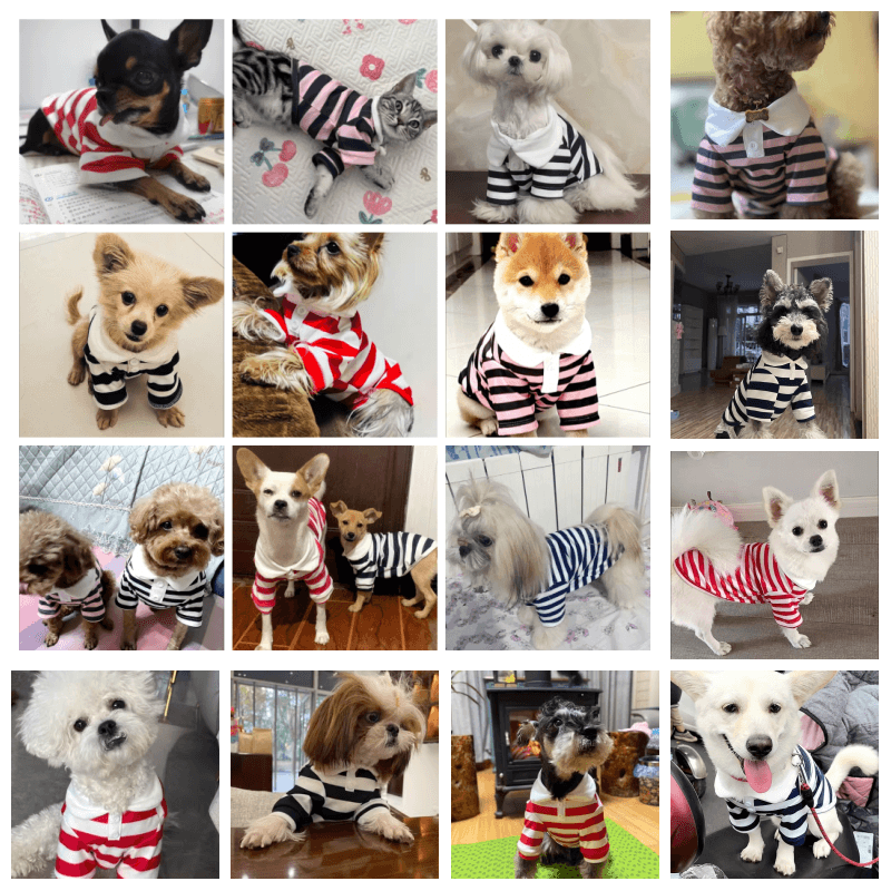 Gilet Rafraichissant pour Chien - photo 2