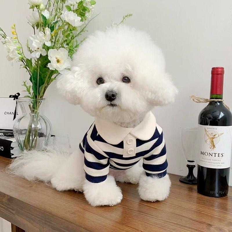 Gilet Rafraichissant pour Chien - photo 3