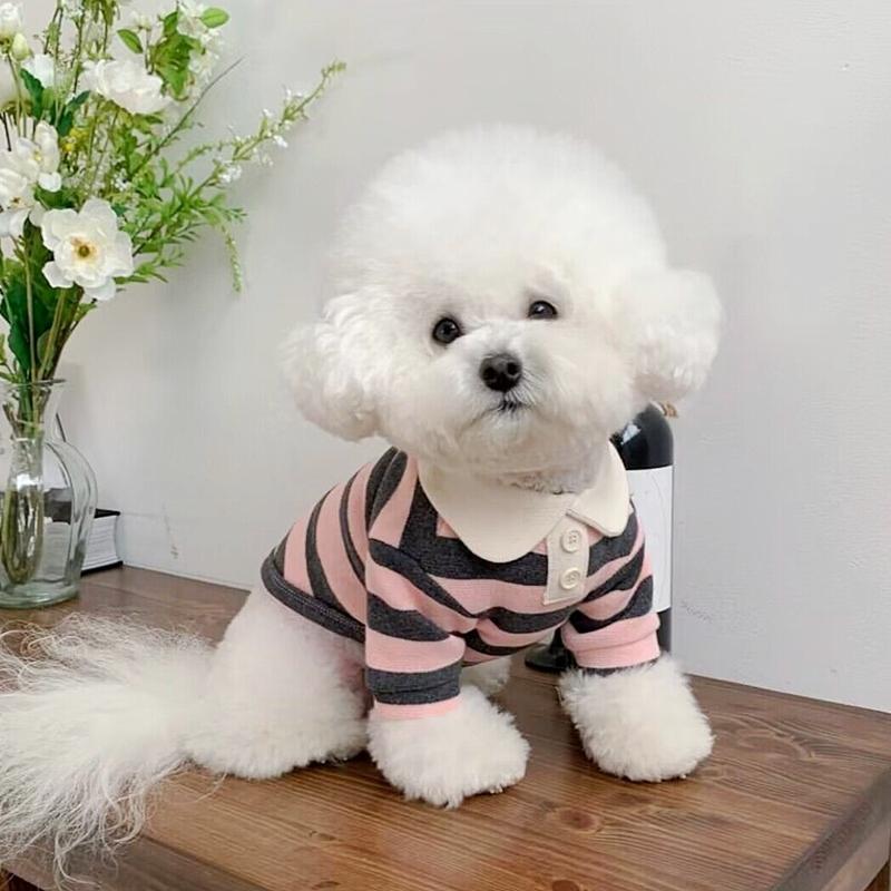Gilet Rafraichissant pour Chien - photo 4