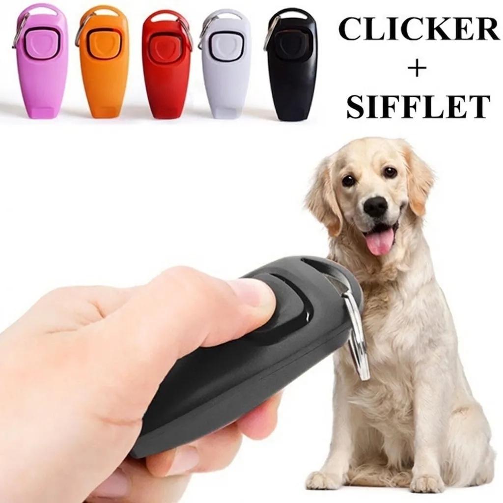 Kit Clicker de Dressage