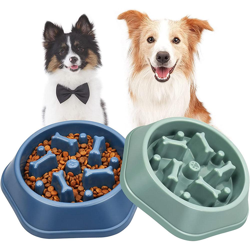 Gamelle Anti-Glouton pour Chien