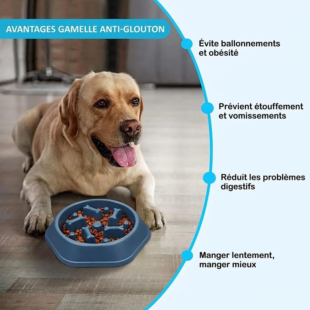 Gamelle Anti-Glouton pour Chien - photo 6