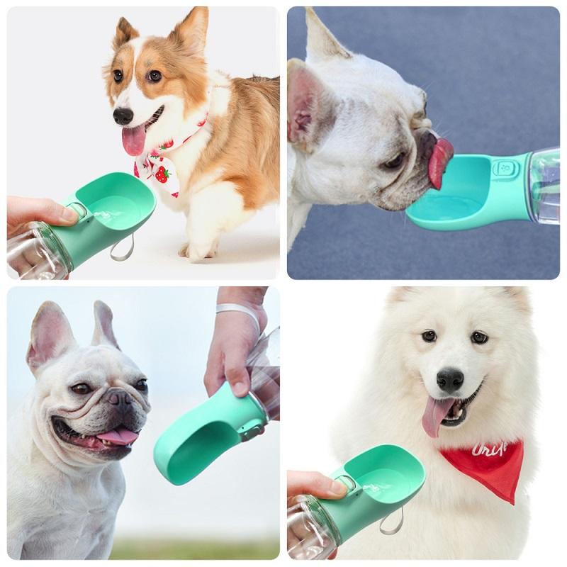 Bouteille d'Eau Portable 3-en-1 pour Chien