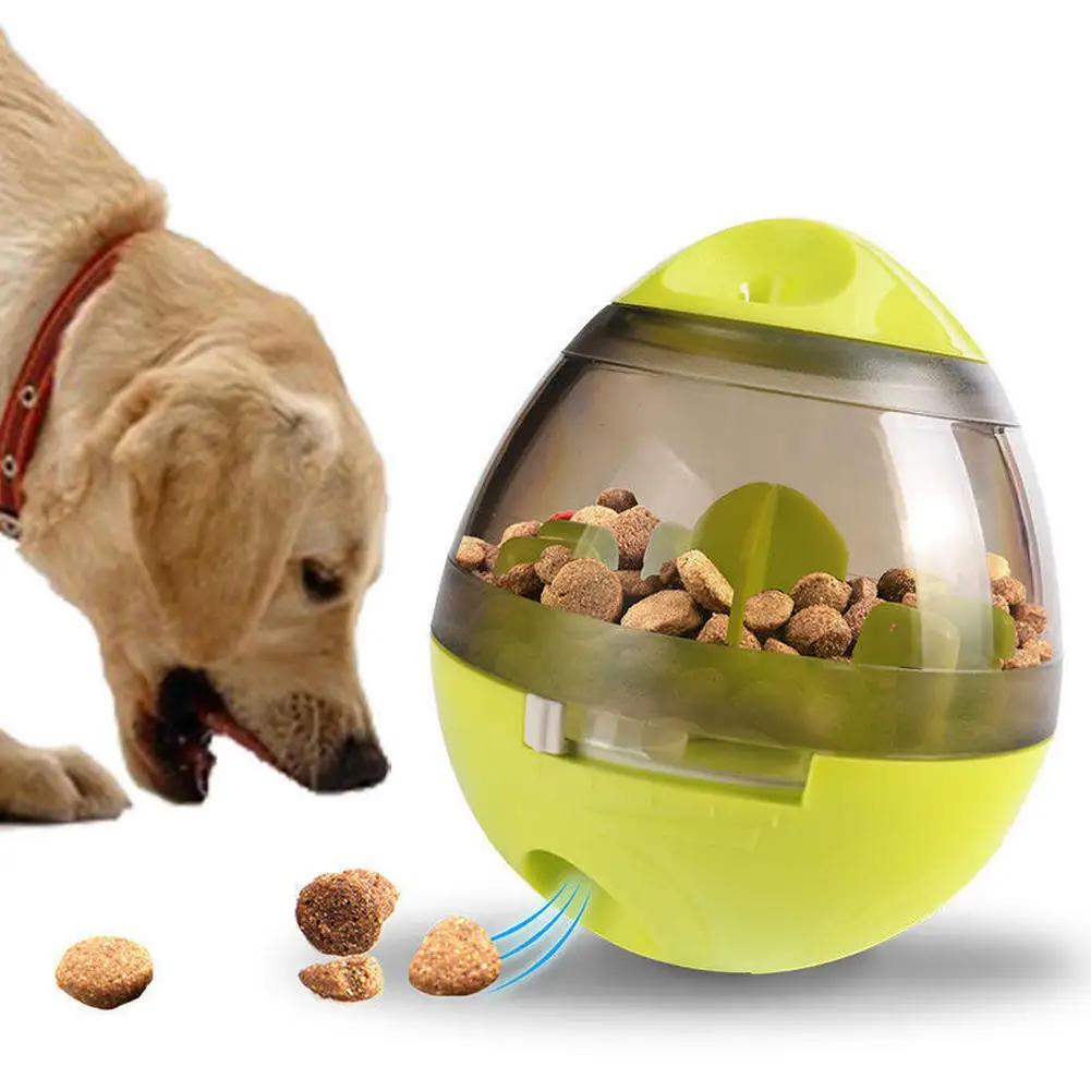 Jouet Distributeur de Friandises pour Chien