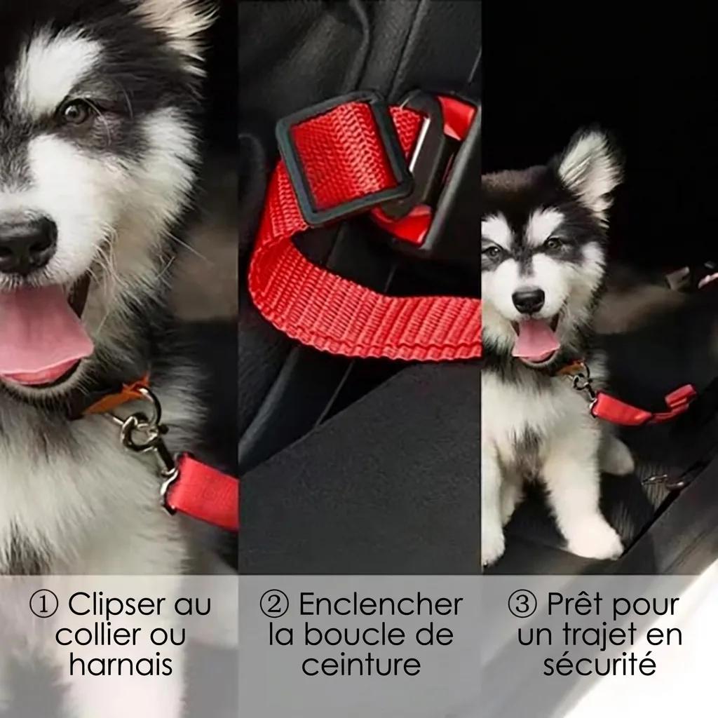 Ceinture de Securite Voiture pour Chien - photo 4