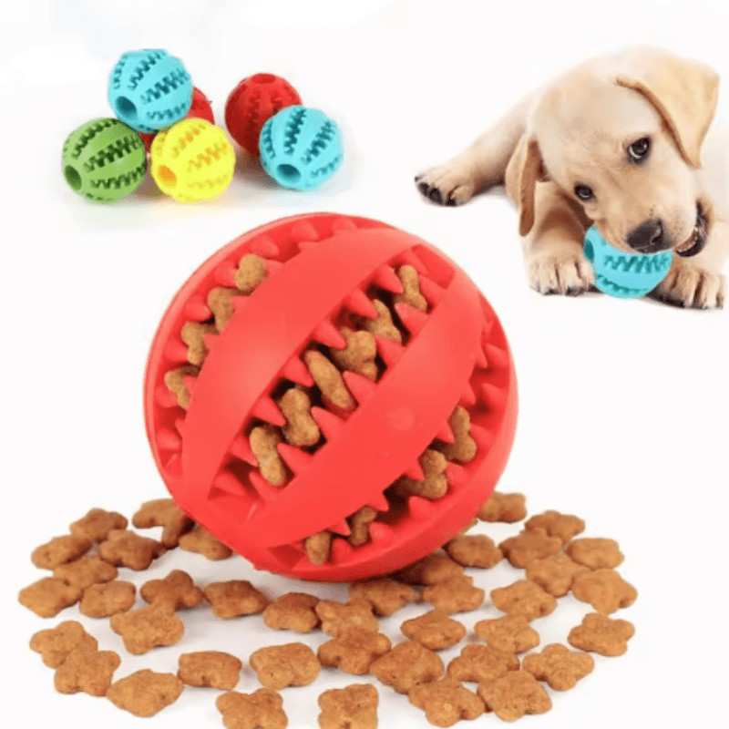 Jouet Dentaire pour Chien