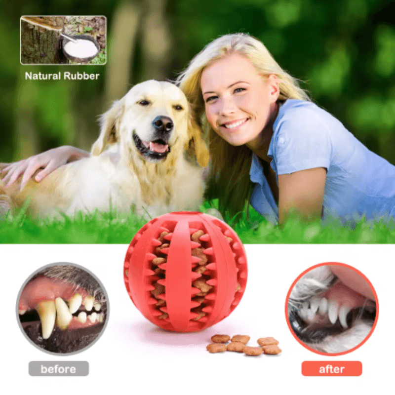 Jouet Dentaire pour Chien - photo 3