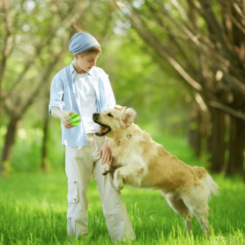 Jouet Dentaire pour Chien - photo 4