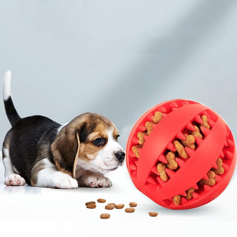 Jouet Dentaire pour Chien - photo 2
