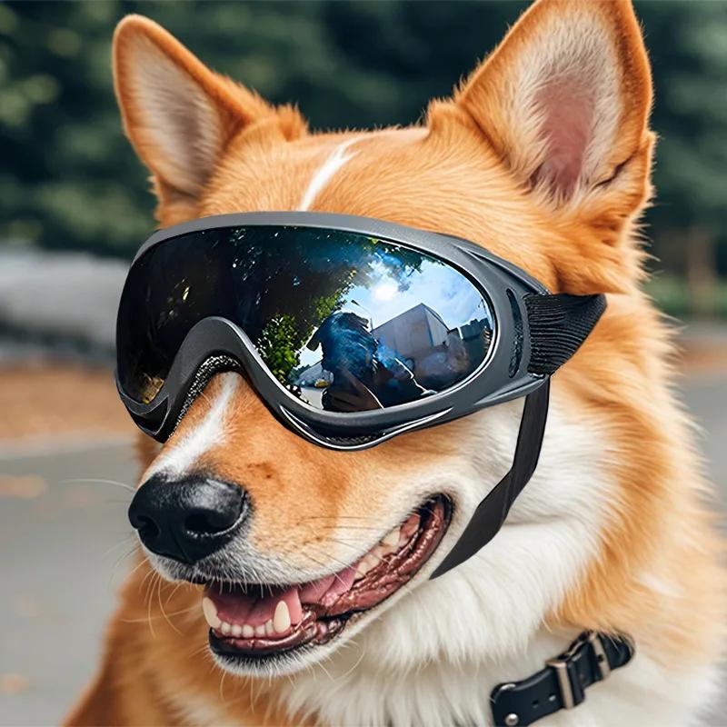 Lunettes de Soleil pour Chien