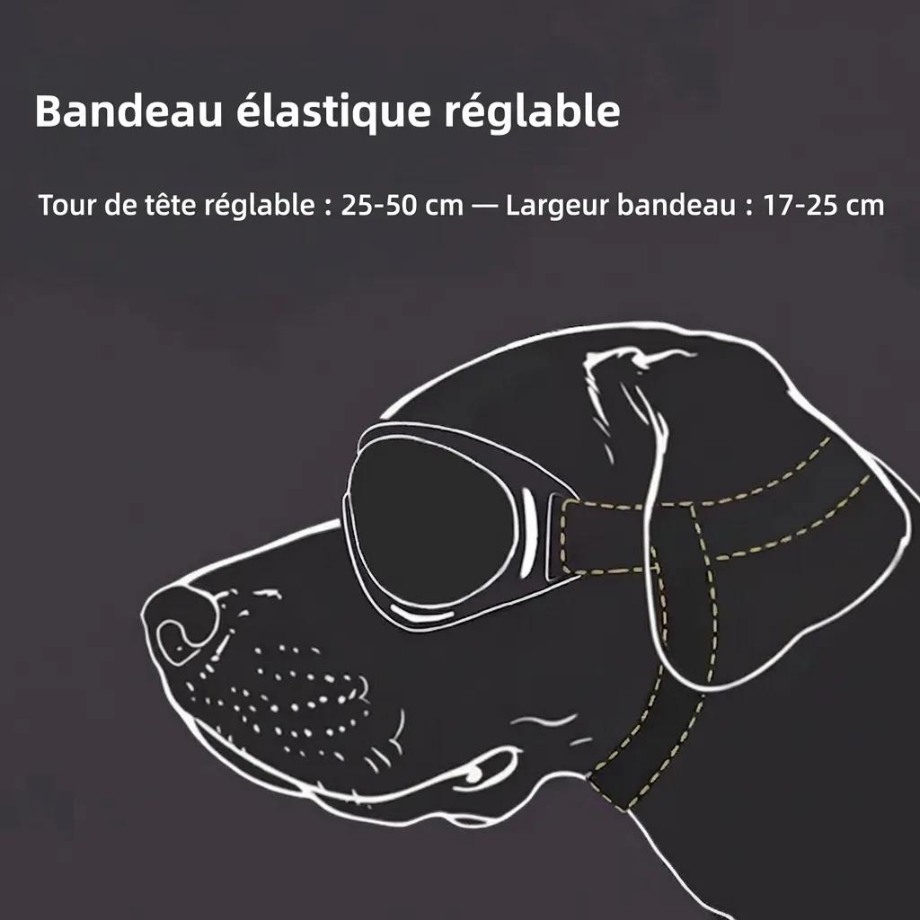 Lunettes de Soleil pour Chien - photo 5