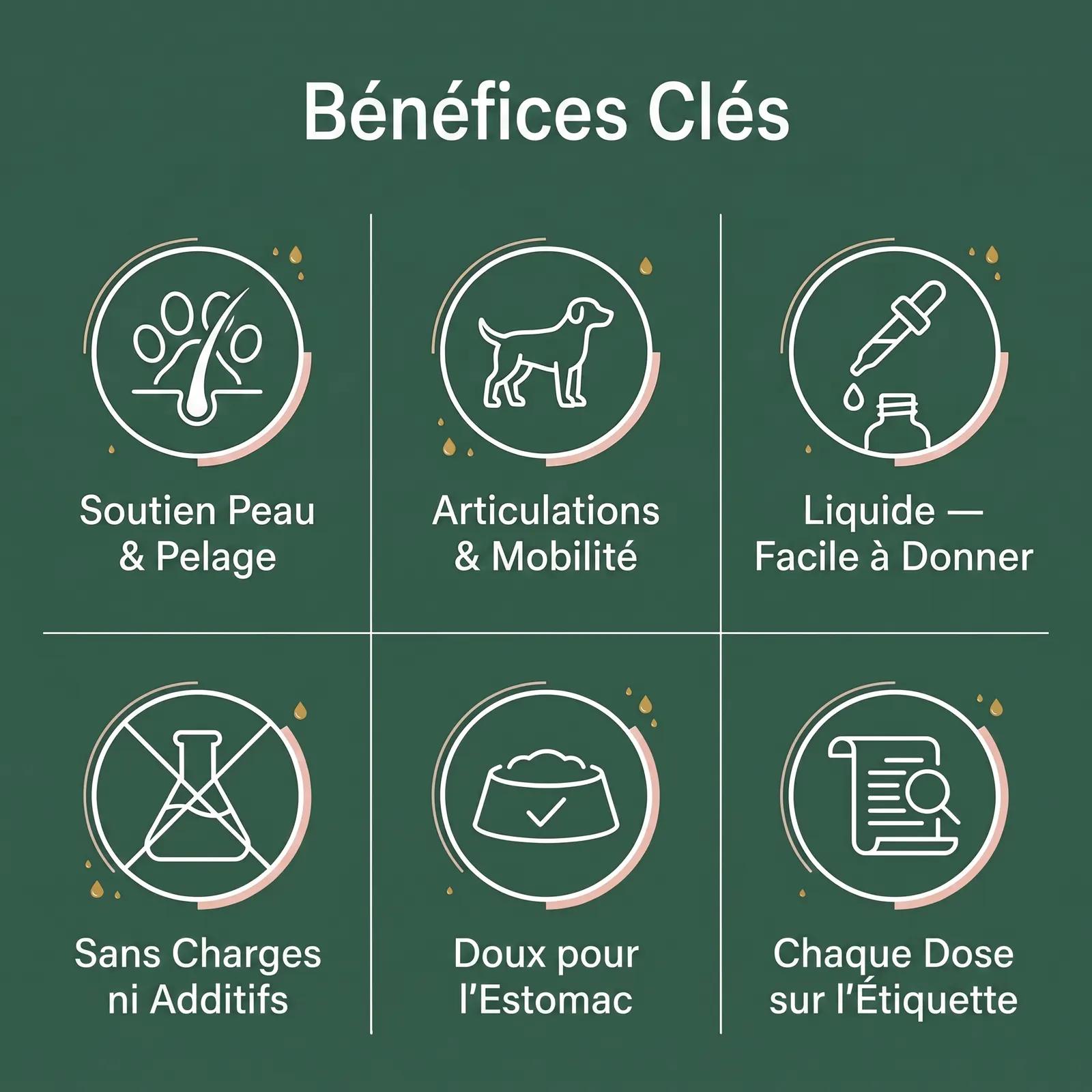 Collagène Liquide pour Chien — Hanches, Articulations & Mobilité - photo 3