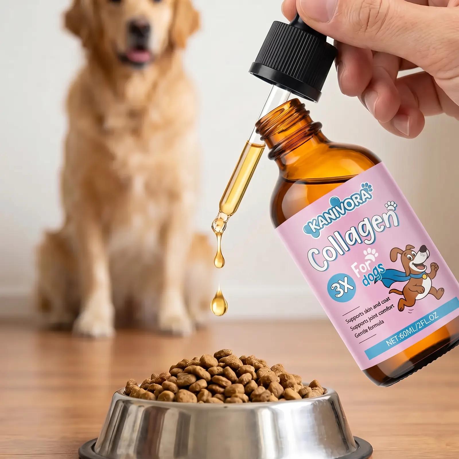 Collagène Liquide pour Chien — Hanches, Articulations & Mobilité - photo 9