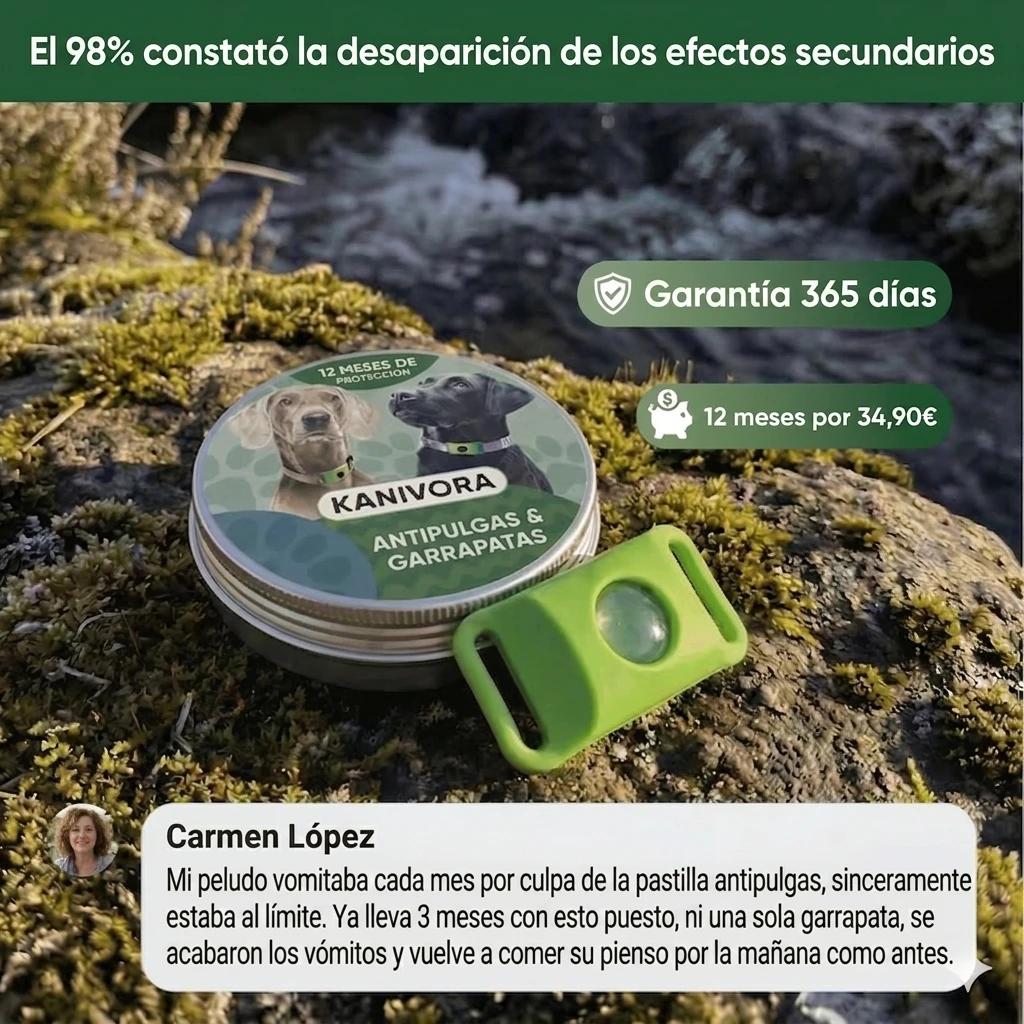 Colgante Antipulgas Natural — Protección 12 Meses para Perros