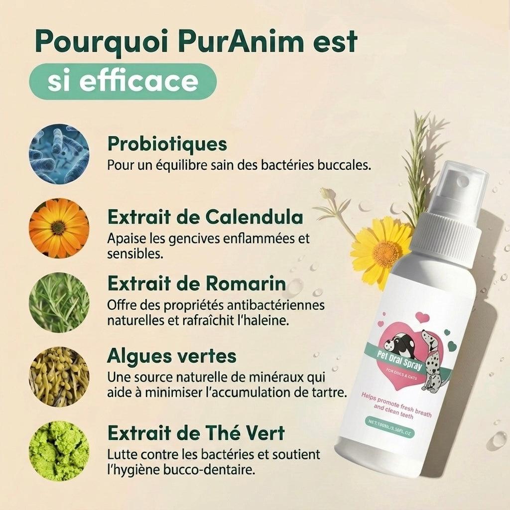 Spray Dentaire — Haleine fraîche & anti-tartre - photo 3
