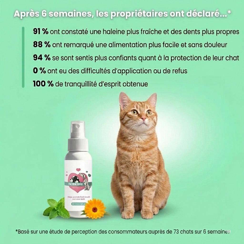 Spray Dentaire — Haleine fraîche & anti-tartre - photo 9