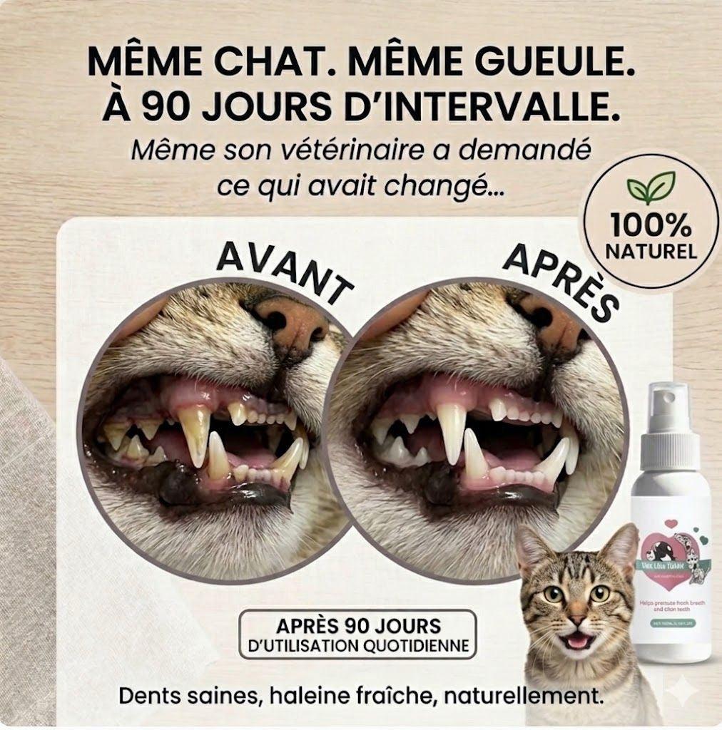 Spray Dentaire — Haleine fraîche & anti-tartre - photo 4