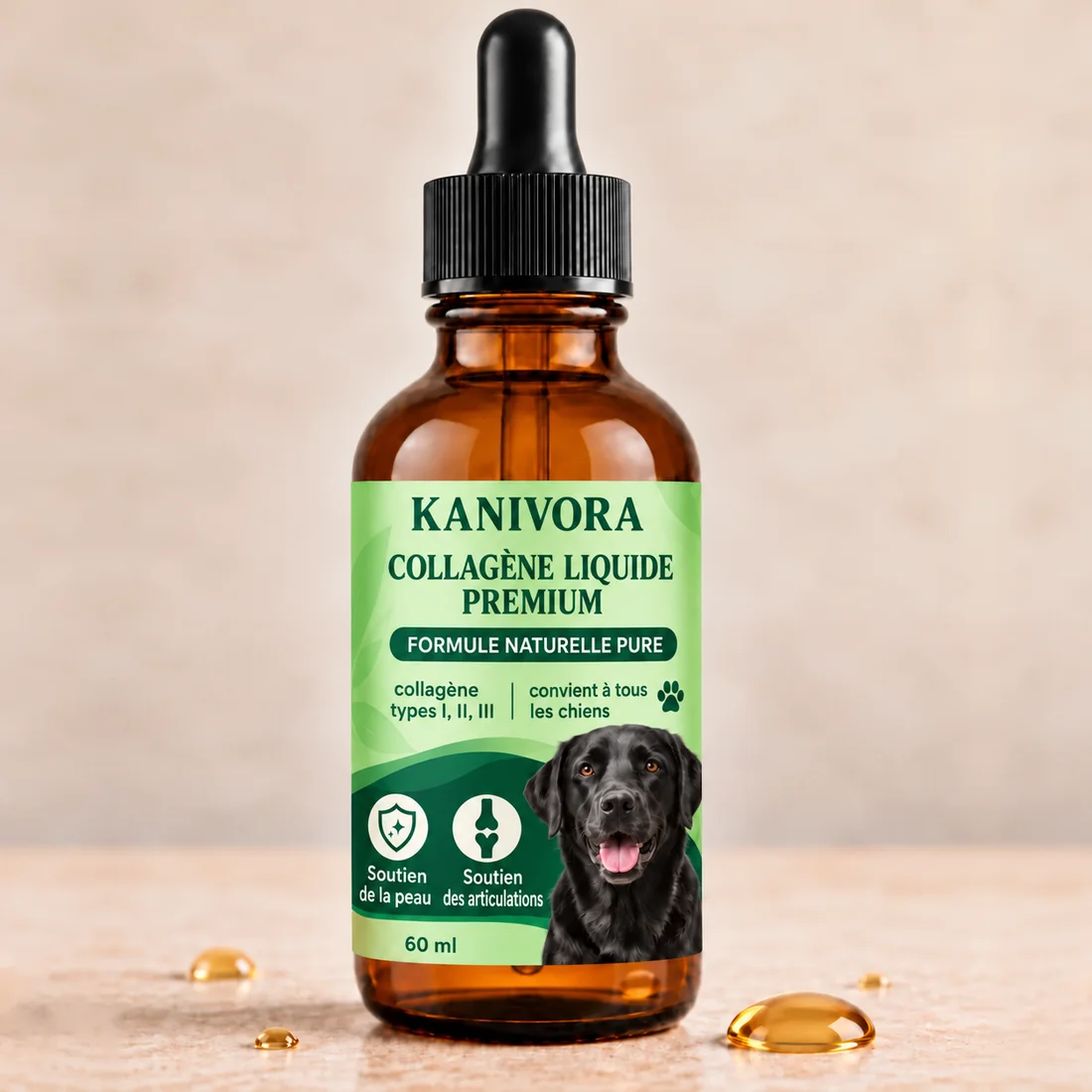 Collagène pour chien, comment choisir sa formule ?